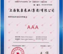 平頂山企業信用評級 信用等級評估與服務價值解析